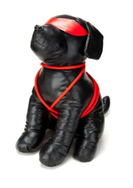 Prowler RED Roped Up Rover - Large - Black/Red